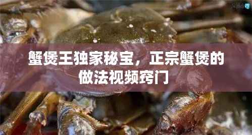 蟹煲王独家秘宝,正宗蟹煲的做法视频窍门