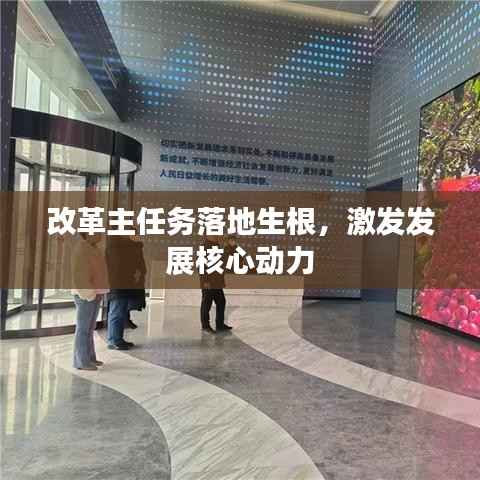 改革主任务落地生根,激发发展核心动力