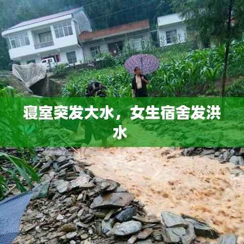 寝室突发大水,女生宿舍发洪水