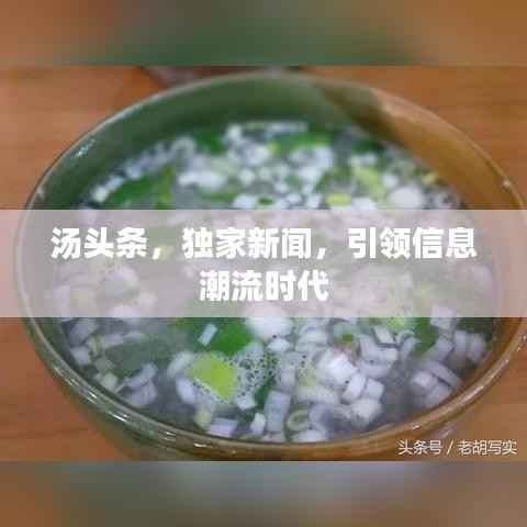 汤头条,独家新闻,引领信息潮流时代