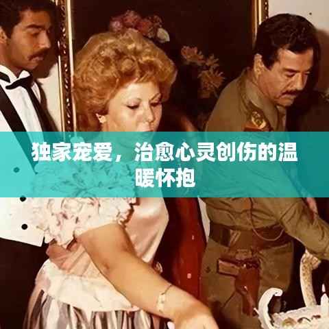 独家宠爱,治愈心灵创伤的温暖怀抱