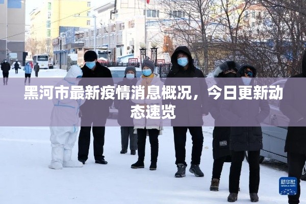黑河市最新疫情消息概况,今日更新动态速览