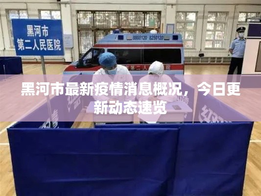 黑河市最新疫情消息概况,今日更新动态速览