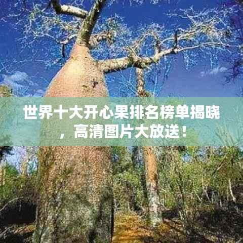 世界十大开心果排名榜单揭晓,高清图片大放送!