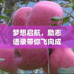 梦想启航,励志语录带你飞向成功之巅