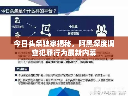 今日头条独家揭秘,阿黑深度调查犯罪行为最新内幕