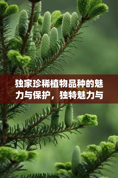独家珍稀植物品种的魅力与保护,独特魅力与院外品种探秘