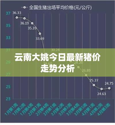 云南大姚今日最新猪价走势分析