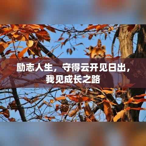 励志人生,守得云开见日出,我见成长之路