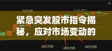 紧急突发股市指令揭秘，应对市场变动的关键策略指南