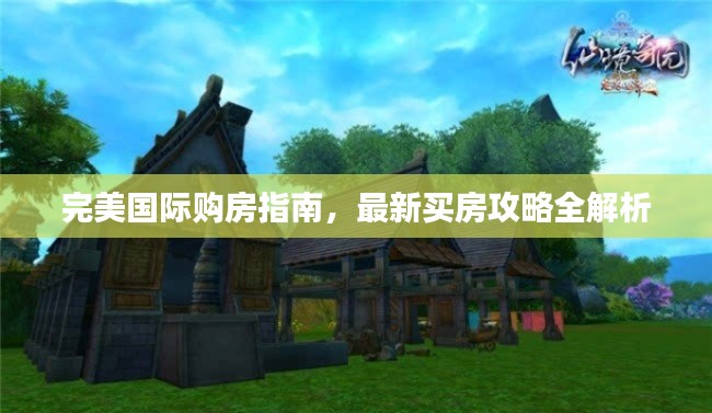 完美国际购房指南,最新买房攻略全解析