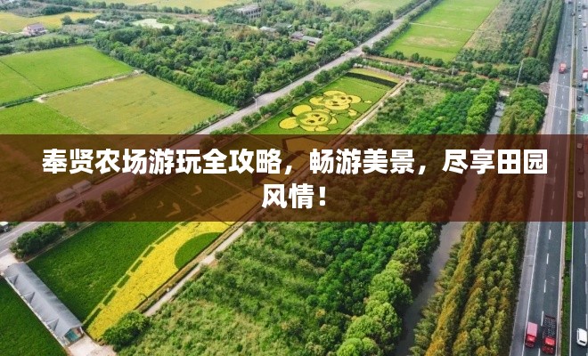 奉贤农场游玩全攻略，畅游美景，尽享田园风情！