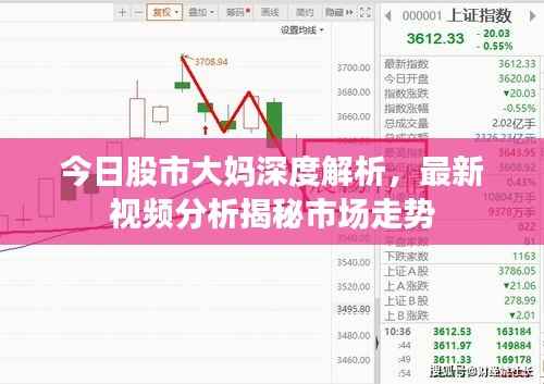 今日股市大妈深度解析,最新视频分析揭秘市场走势