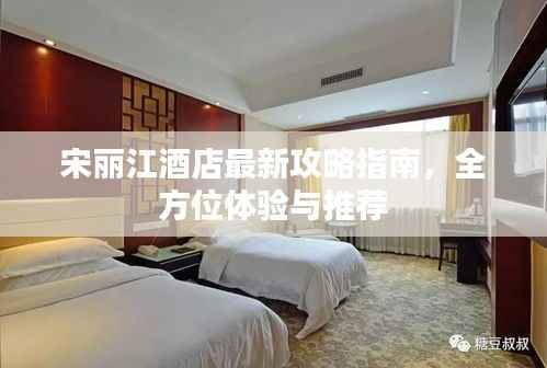 宋丽江酒店最新攻略指南,全方位体验与推荐
