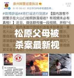 松原父母被杀案最新视频曝光,深度解读引发社会反思