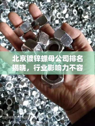 北京镀锌螺母公司排名揭晓,行业影响力不容小觑
