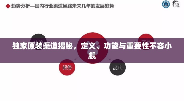 独家原装渠道揭秘,定义、功能与重要性不容小觑