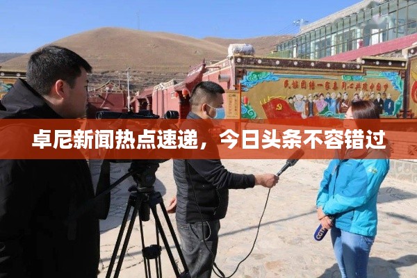 卓尼新闻热点速递,今日头条不容错过