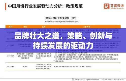 品牌壮大之道,策略、创新与持续发展的驱动力