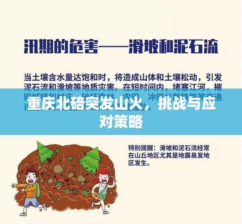 重庆北碚突发山火，挑战与应对策略