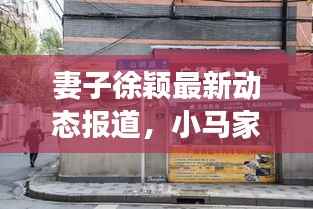 妻子徐颖最新动态报道,小马家的新鲜事