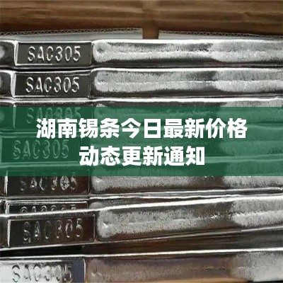 湖南锡条今日最新价格动态更新通知