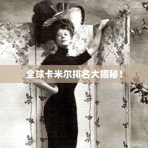 全球卡米尔排名大揭秘！