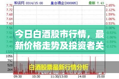 今日白酒股市行情,最新价格走势及投资者关注焦点