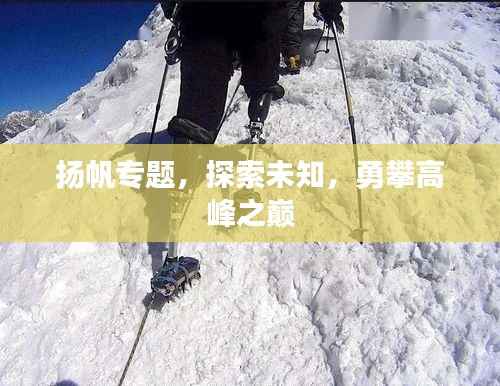 扬帆专题，探索未知，勇攀高峰之巅