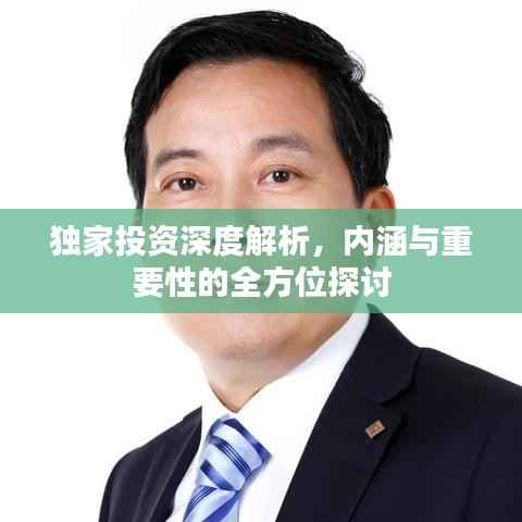 独家投资深度解析，内涵与重要性的全方位探讨