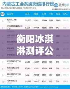 衡阳冰淇淋测评公司排行榜揭晓!最新排名榜单不容错过!