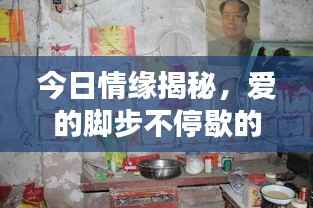今日情缘揭秘,爱的脚步不停歇的最新动态