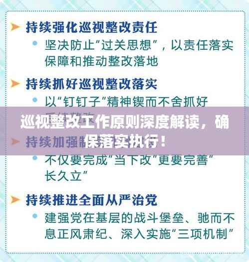 巡视整改工作原则深度解读,确保落实执行!
