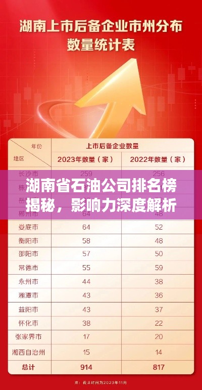 湖南省石油公司排名榜揭秘,影响力深度解析