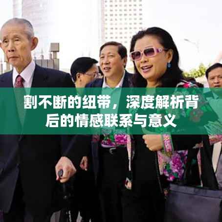 割不断的纽带，深度解析背后的情感联系与意义