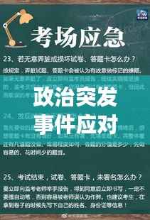 政治突发事件应对之道,危机处理与策略解析