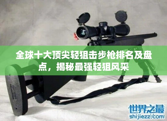 全球十大顶尖轻狙击步枪排名及盘点,揭秘最强轻狙风采
