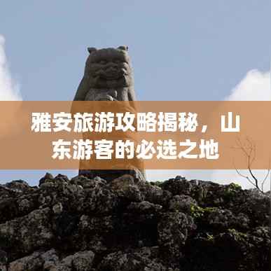 雅安旅游攻略揭秘,山东游客的必选之地