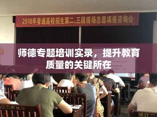 师德专题培训实录,提升教育质量的关键所在