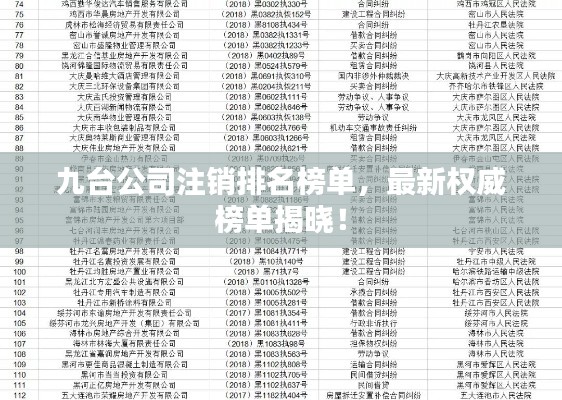 九台公司注销排名榜单,最新权威榜单揭晓!