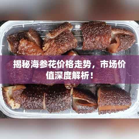 揭秘海参花价格走势,市场价值深度解析!