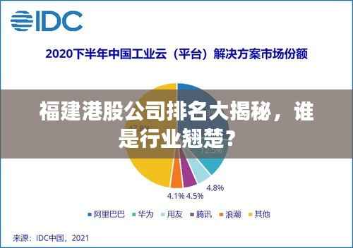 福建港股公司排名大揭秘,谁是行业翘楚?
