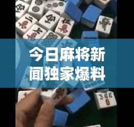 今日麻将新闻独家爆料,最新消息一网打尽!