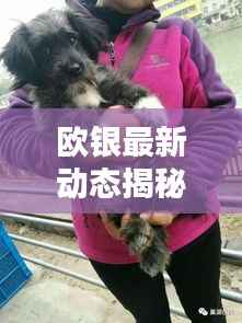 欧银最新动态揭秘,今日消息一网打尽!