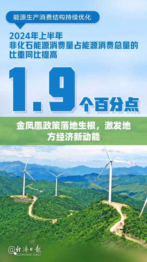 金凤凰政策落地生根,激发地方经济新动能