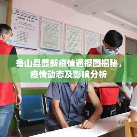 鲁山县最新疫情通报图揭秘,疫情动态及影响分析