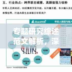 专题研究综述范文解析,深度洞察,引领学术潮流