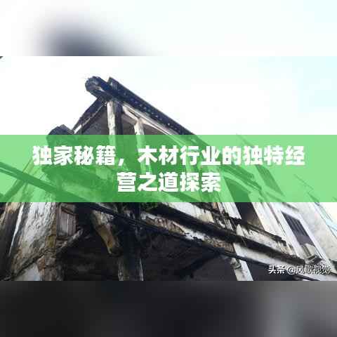 独家秘籍,木材行业的独特经营之道探索