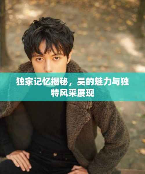 独家记忆揭秘,吴的魅力与独特风采展现