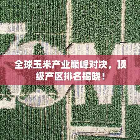 全球玉米产业巅峰对决，顶级产区排名揭晓！